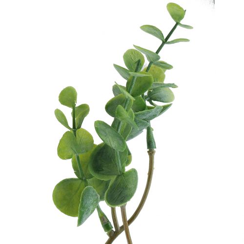 Floristik24 Eucalyptus kunsttak groen 37cm 6st