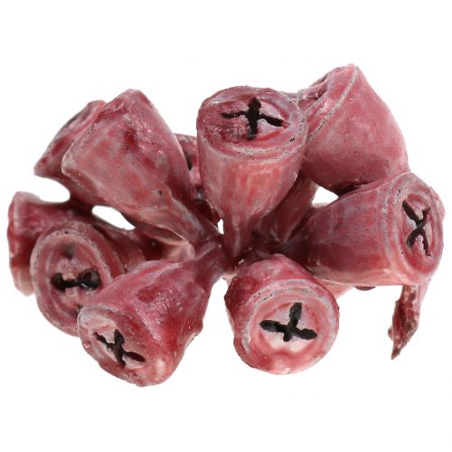 Floristik24 Eucalyptusvruchten gewaxt rood 250 g