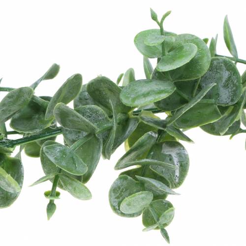 Artikel Eucalyptus Slinger Groen 180cm