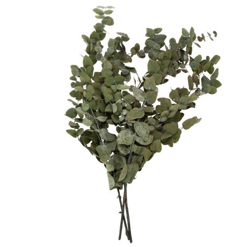 Floristik24 Geconserveerde decoratieve eucalyptus takken en bladeren, ronde gedroogde decoratie, groen, 150 g