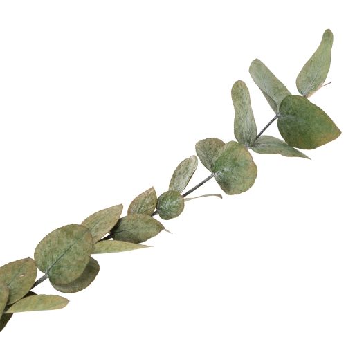 Artikel Geconserveerde decoratieve eucalyptus takken en bladeren, ronde gedroogde decoratie, groen, 150 g