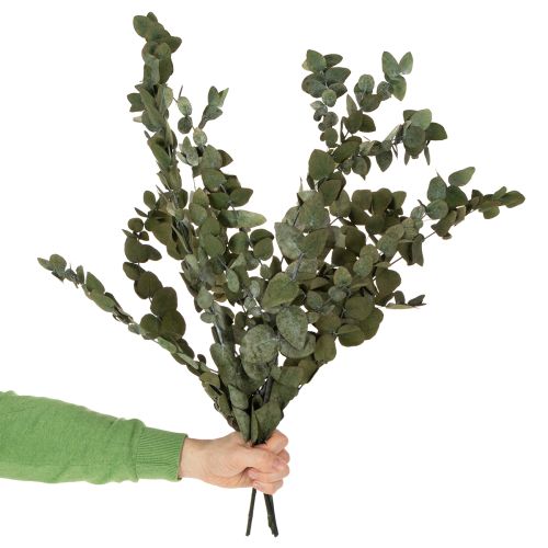 Artikel Geconserveerde decoratieve eucalyptus takken en bladeren, ronde gedroogde decoratie, groen, 150 g