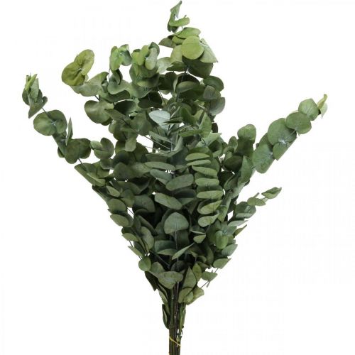 Floristik24 Eucalyptus Geconserveerde Takken Bladeren Rond Groen 150g