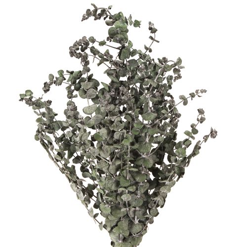Eucalyptus Geconserveerde Takken Bladeren Rond Groen 150g
