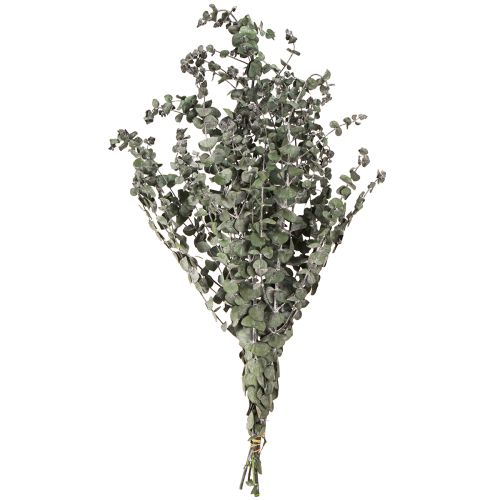 Artikel Eucalyptus Geconserveerde Takken Bladeren Rond Groen 150g