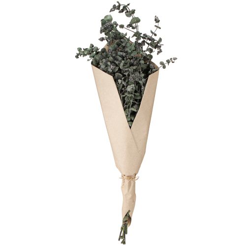 Artikel Eucalyptus Geconserveerde Takken Bladeren Rond Groen 150g