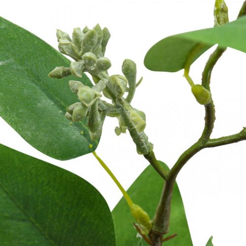 Artikel Eucalyptus kunsttak groen drievoudig vertakt L100cm