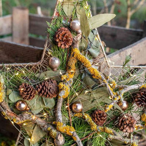 Eucalyptus Geconserveerde Takken Bladeren Rond Groen 150g