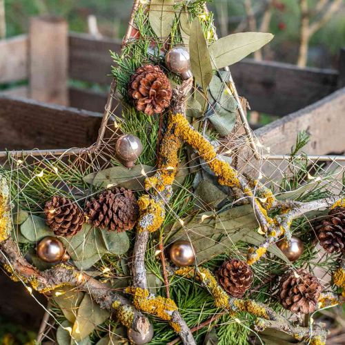 Artikel Eucalyptus Geconserveerde Takken Bladeren Rond Groen 150g