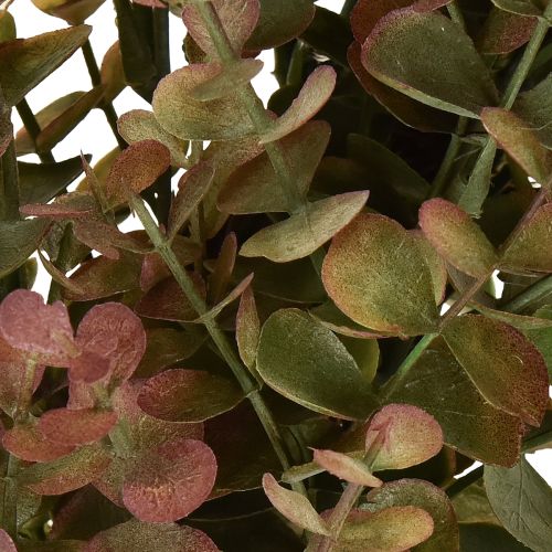 Artikel Kunstmatige eucalyptuskrans herfstdecoratie eucalyptus Ø36cm