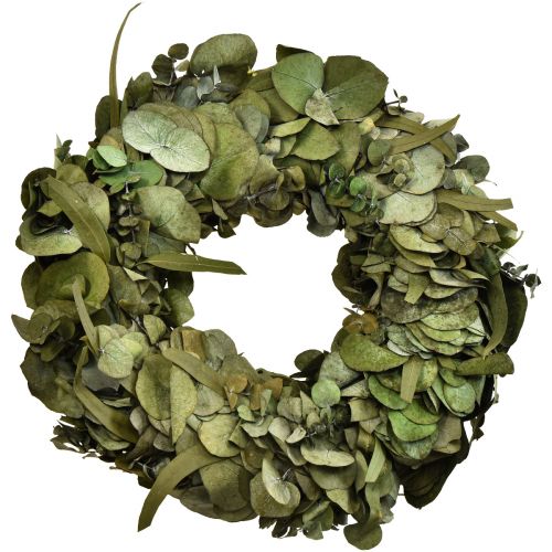 Floristik24 Eucalyptuskrans natuurlijke krans eucalyptus geconserveerd Ø35cm