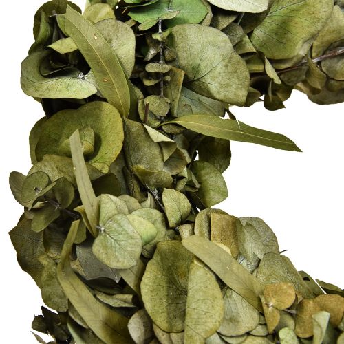 Floristik24 Eucalyptuskrans natuurlijke krans eucalyptus geconserveerd Ø35cm