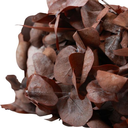 Floristik24 Eucalyptuskrans natuurlijke krans eucalyptus geconserveerd rood Ø33cm