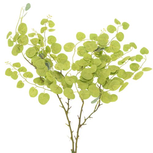 Artikel Decoratieve eucalyptustak, ideaal als tafeldecoratie, 120 cm