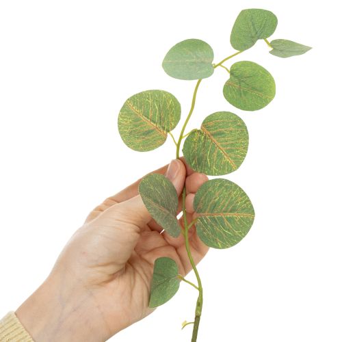 Artikel Decoratieve eucalyptustak, ideaal als tafeldecoratie, 120 cm