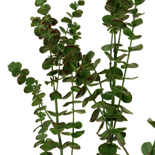 Artikel Eucalyptustak groen 130cm