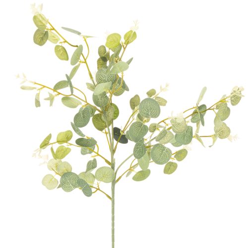Kunstmatige eucalyptus tak met ronde bladeren, 75 cm, 4 stuks kopen | Floristik24.nl