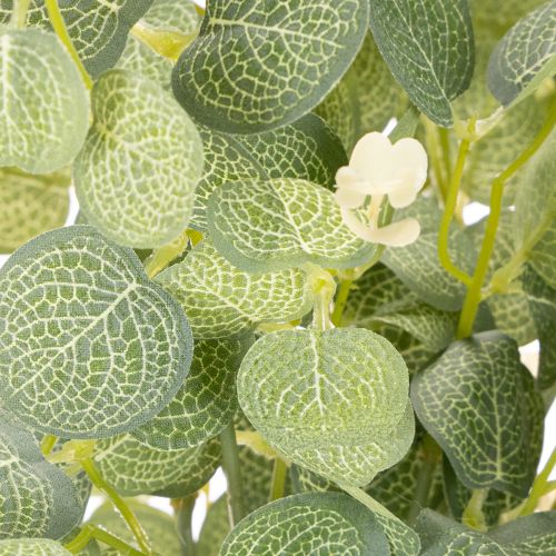 Kunstmatige eucalyptus tak met ronde bladeren, 75 cm, 4 stuks | Floristik24.nl