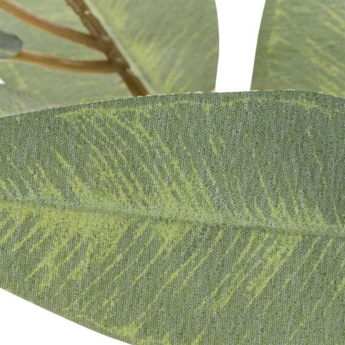 Kunstmatige eucalyptustak, natuurlijk groen, decoratie, 100 cm | Floristik24.nl