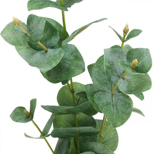 Floristik24 Eucalyptus Tak Groene Kunstplant Eucalyptus Deco 75cm