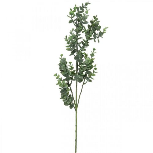 Floristik24 Decoratietak eucalyptus kunst eucalyptustak 75cm