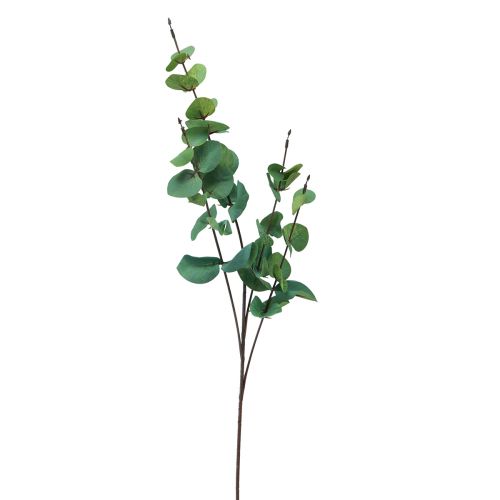 Artikel Eucalyptustak kunst eucalyptus groen 64cm