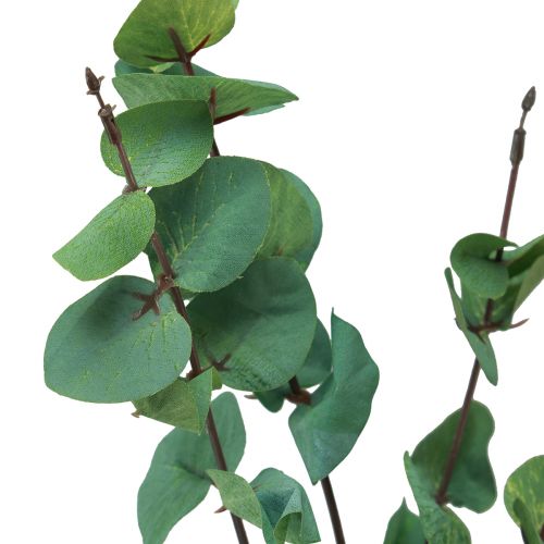 Artikel Eucalyptustak kunst eucalyptus groen 64cm