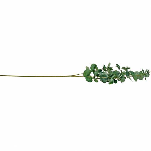 Artikel Eucalyptustak Kunstmatige eucalyptustak