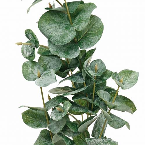 Artikel Eucalyptustak Kunstmatige eucalyptustak