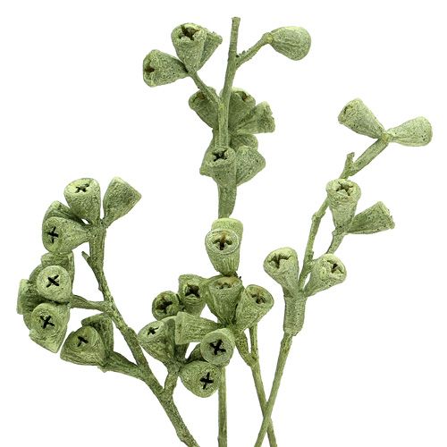 Artikel Eucalyptustak groen mat 25 st