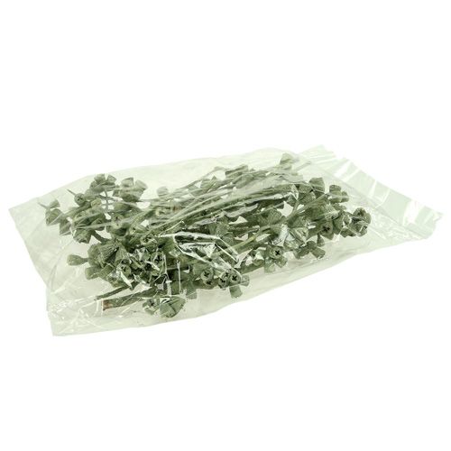 Artikel Eucalyptustak groen mat 25 st