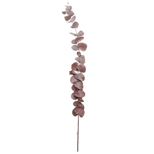 Artikel Eucalyptus takken, geconserveerde eucalyptus, gedroogde bloemen, rood, 75 cm, 150 g