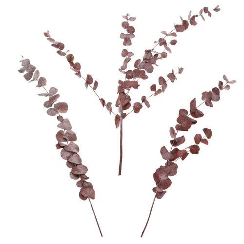 Artikel Eucalyptus takken, geconserveerde eucalyptus, gedroogde bloemen, rood, 75 cm, 150 g