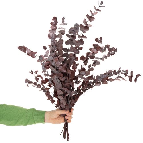 Artikel Eucalyptus takken, geconserveerde eucalyptus, gedroogde bloemen, rood, 75 cm, 150 g