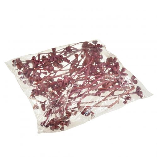 Artikel Eucalyptus takken rood mat natuurlijke decoratie exoten 25 st