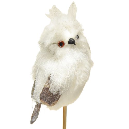 Floristik24 Uil op de stok wit 9cm L48cm