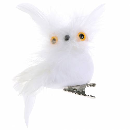 Floristik24 Decoratieve uil op clip wit 10cm 4st