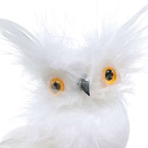 Floristik24 Decoratieve uil op clip wit 10cm 4st