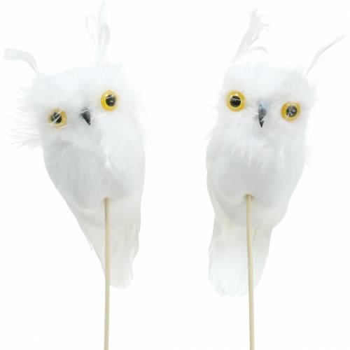 Floristik24.nl Decoratieve plug uil wit 10cm 2st - online kopen