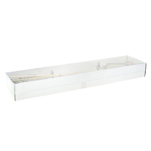 Floristik24 Uil bloemplug 10cm 4st