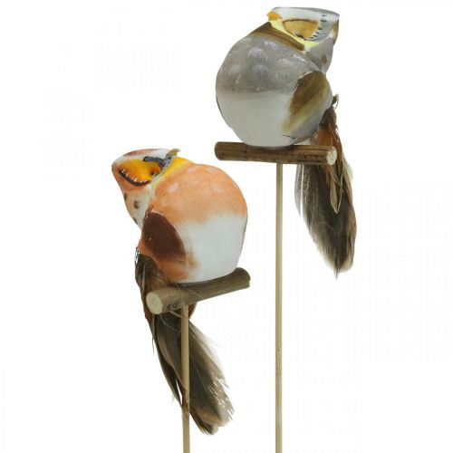Artikel Sierplug uil, bloemendecoratie, uil met veren H5.5cm 6st