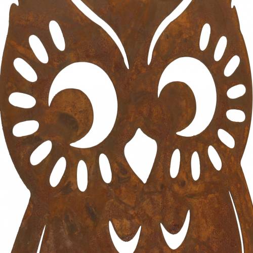 Floristik24 Uil patina op berkenstam 42cm x 36cm