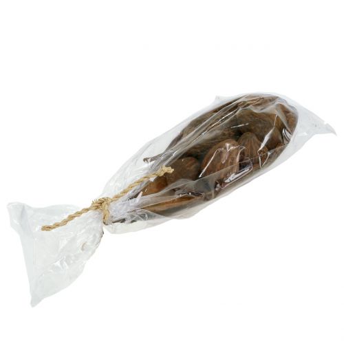 Floristik24 Baobab fruitmix met schelp 300g