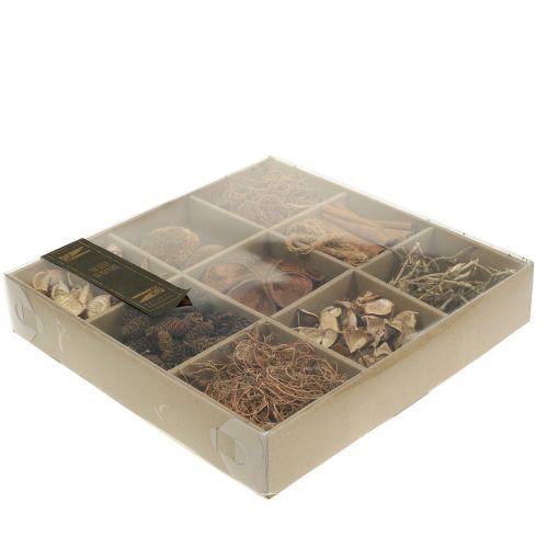 Floristik24 Exotische mix van natuur