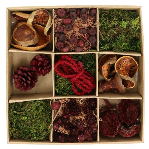 Exotische mix knutselset