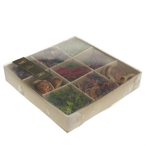 Floristik24 Exotische mix knutselset