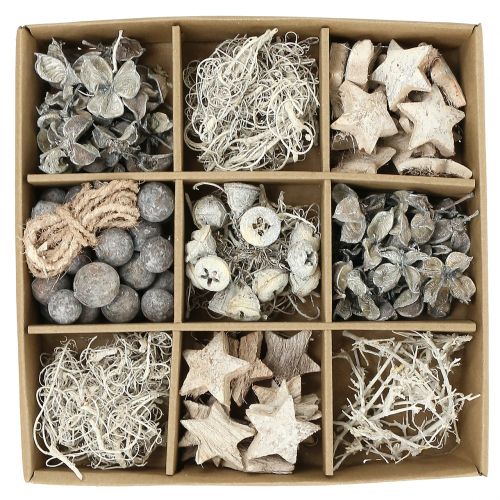 Floristik24 Exotische mix wit gewassen