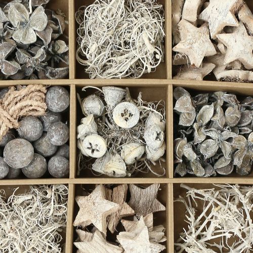 Floristik24 Exotische mix wit gewassen