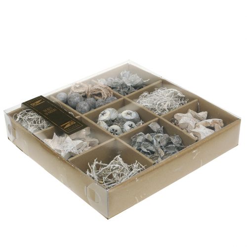 Floristik24 Exotische mix wit gewassen