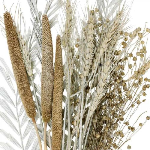 Floristik24 Droogbloemen DIY Box Exotisch Droog Boeket Wit, Naturel H55cm